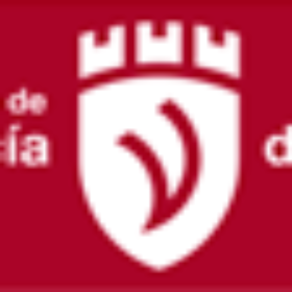 Logo Concello de Villagarcía de Arousa